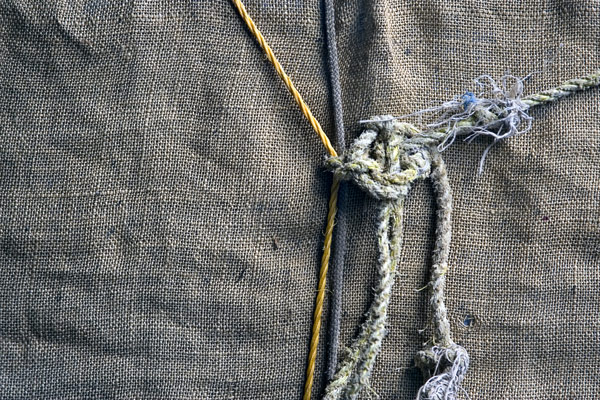 Photograph by Brian King