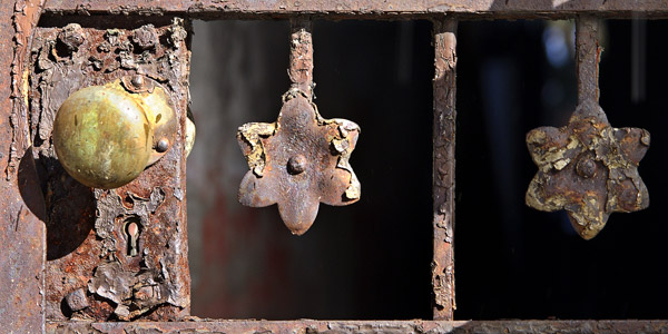 Photograph by Brian King