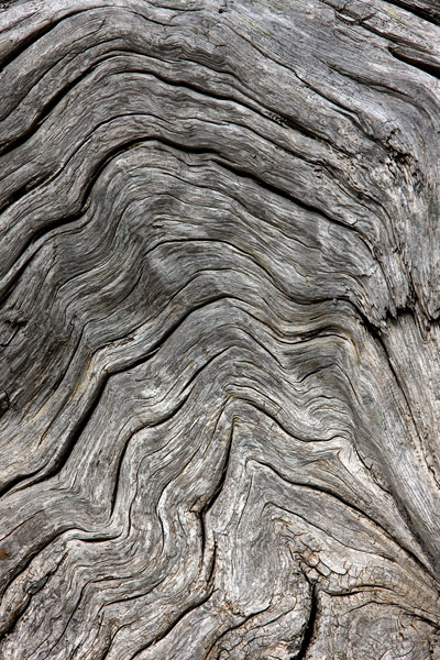 Photograph by Brian King