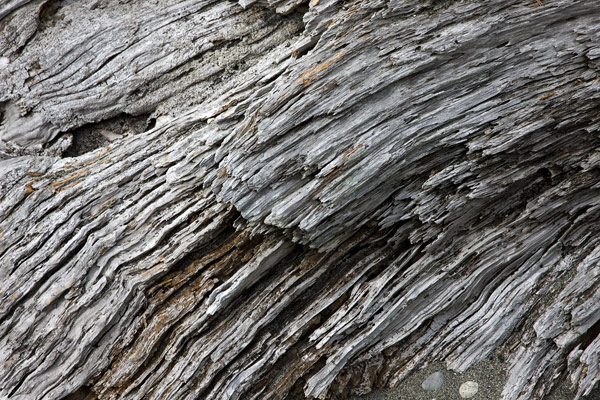 Photograph by Brian King