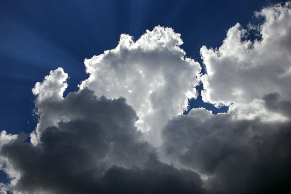 Photograph by Brian King