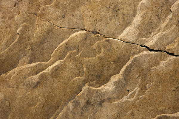 Photograph by Brian King