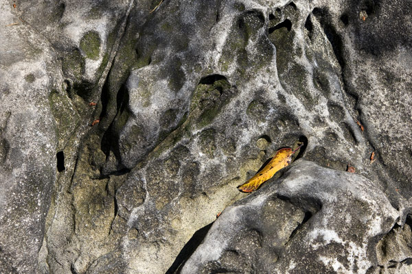 Photograph by Brian King