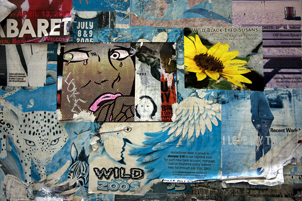 Photograph by Brian King