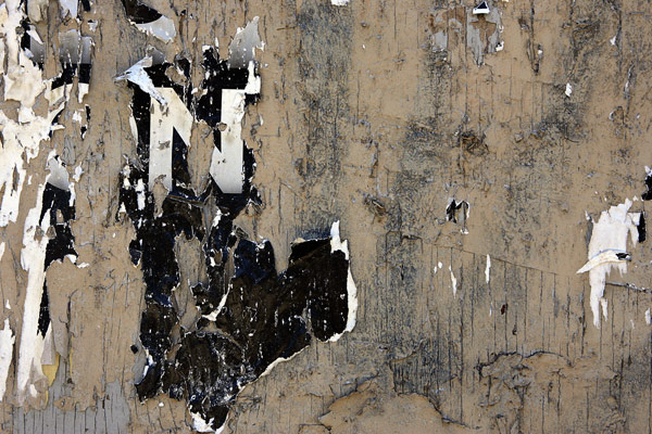 Photograph by Brian King