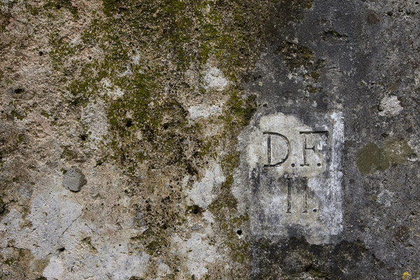 Photograph by Brian King