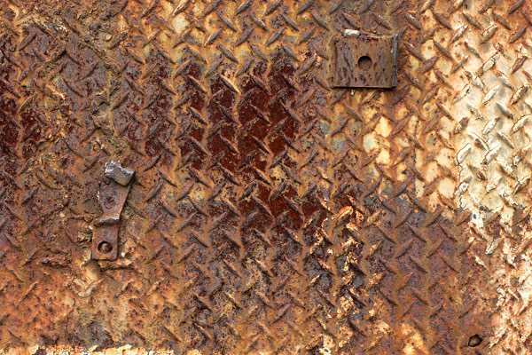 Photograph by Brian King