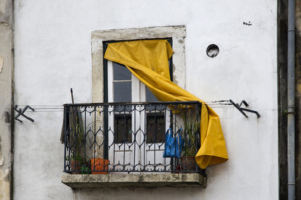 Photography by Brian King