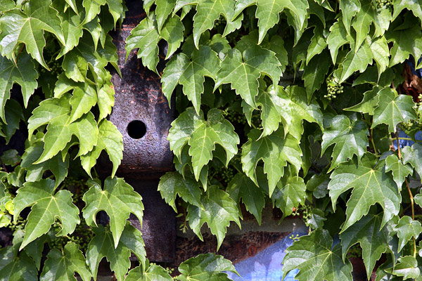 Photography by Brian King