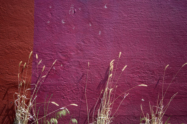 Photography by Brian King