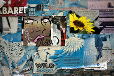 photography by Brian King