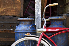 photography by Brian King