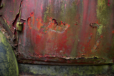 photography by Brian King