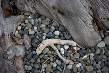 photography by Brian King