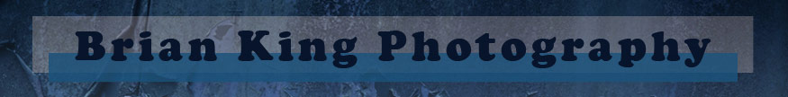 Brian King Photography website banner
