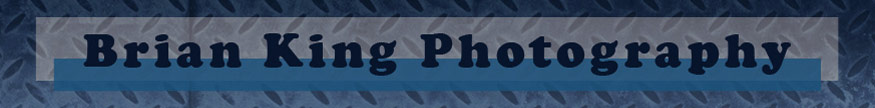 Brian King Photography website banner