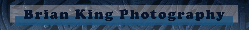 Brian King Photography website banner