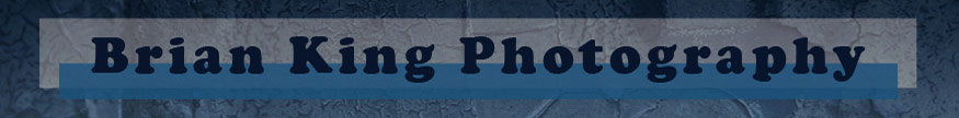 Brian King Photography website banner