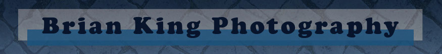 Brian King Photography website banner