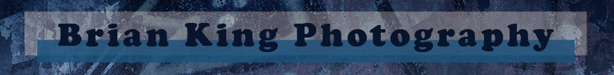 Brian King Photography website banner