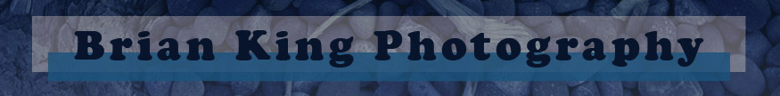 Brian King Photography website banner