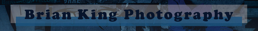 Brian King Photography website banner