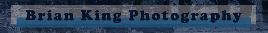 Brian King Photography website banner